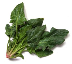 spinach-bunch